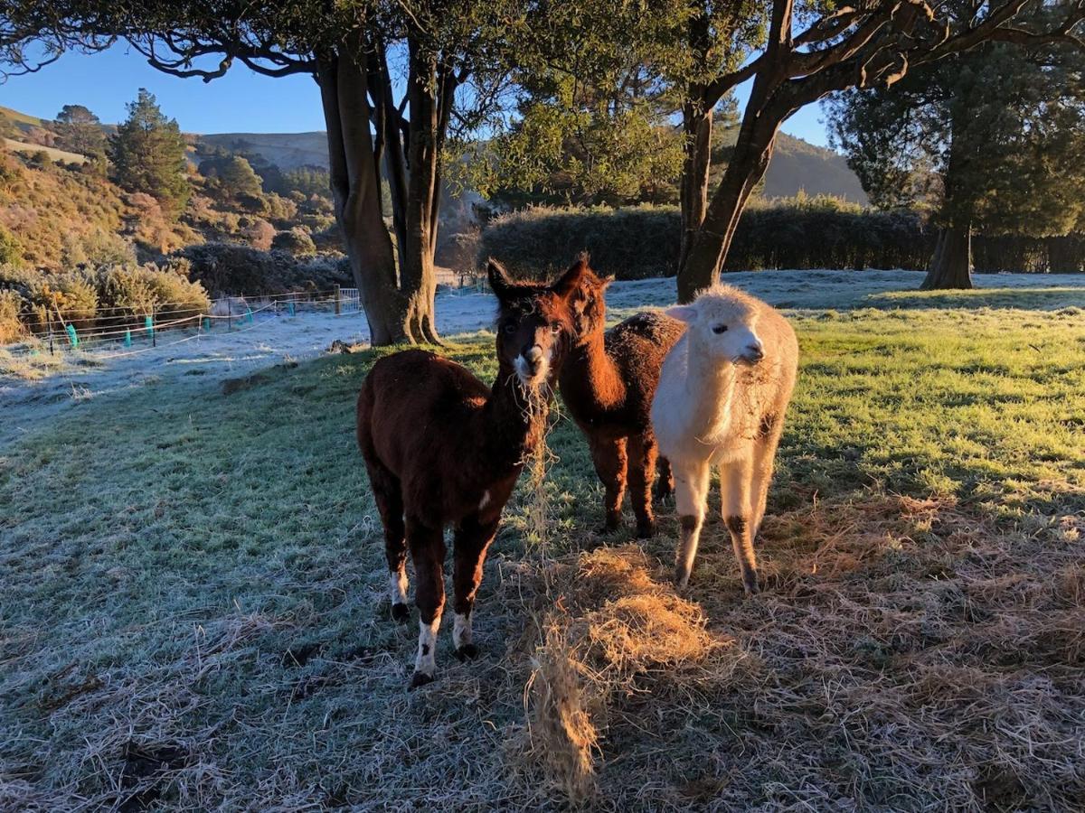 هوت العليا Narrow Neck Creek Farmstay And B&B المظهر الخارجي الصورة