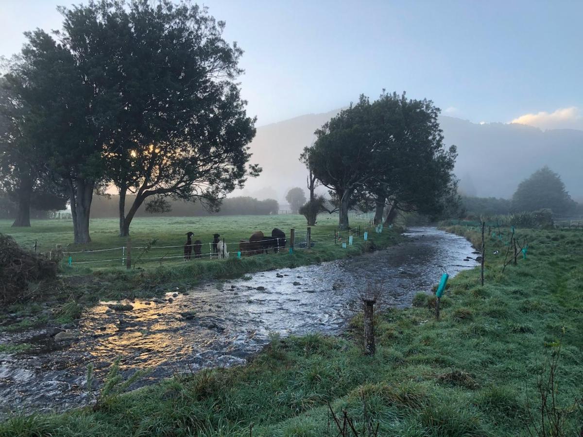 هوت العليا Narrow Neck Creek Farmstay And B&B المظهر الخارجي الصورة