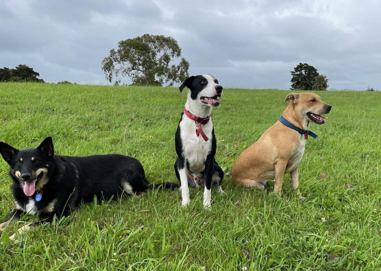 هوت العليا Narrow Neck Creek Farmstay And B&B المظهر الخارجي الصورة