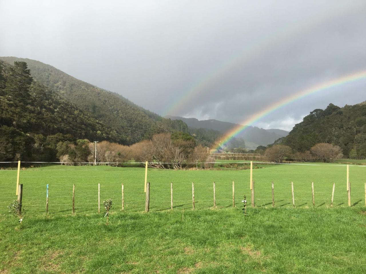 هوت العليا Narrow Neck Creek Farmstay And B&B المظهر الخارجي الصورة